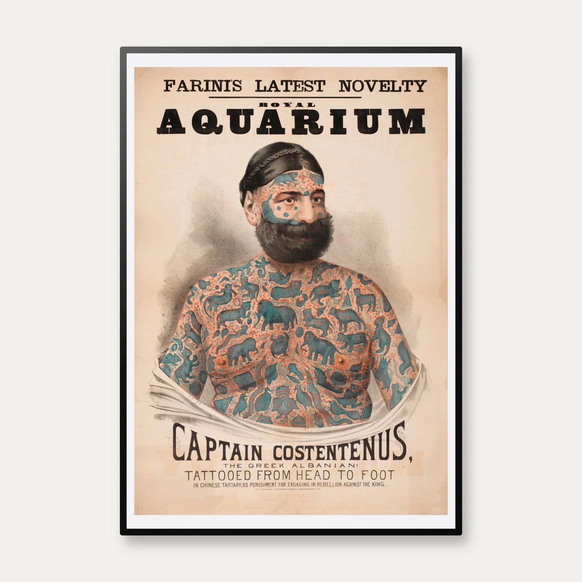 Captain Costentenus 1880 - Vintage plakat – billede 1