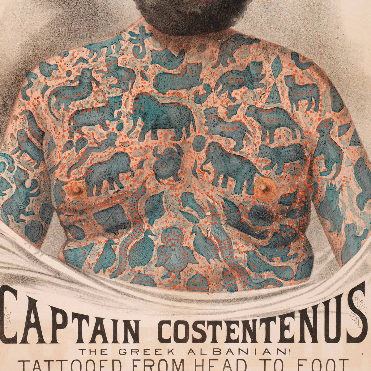 Captain Costentenus 1880 - Vintage plakat – billede 4