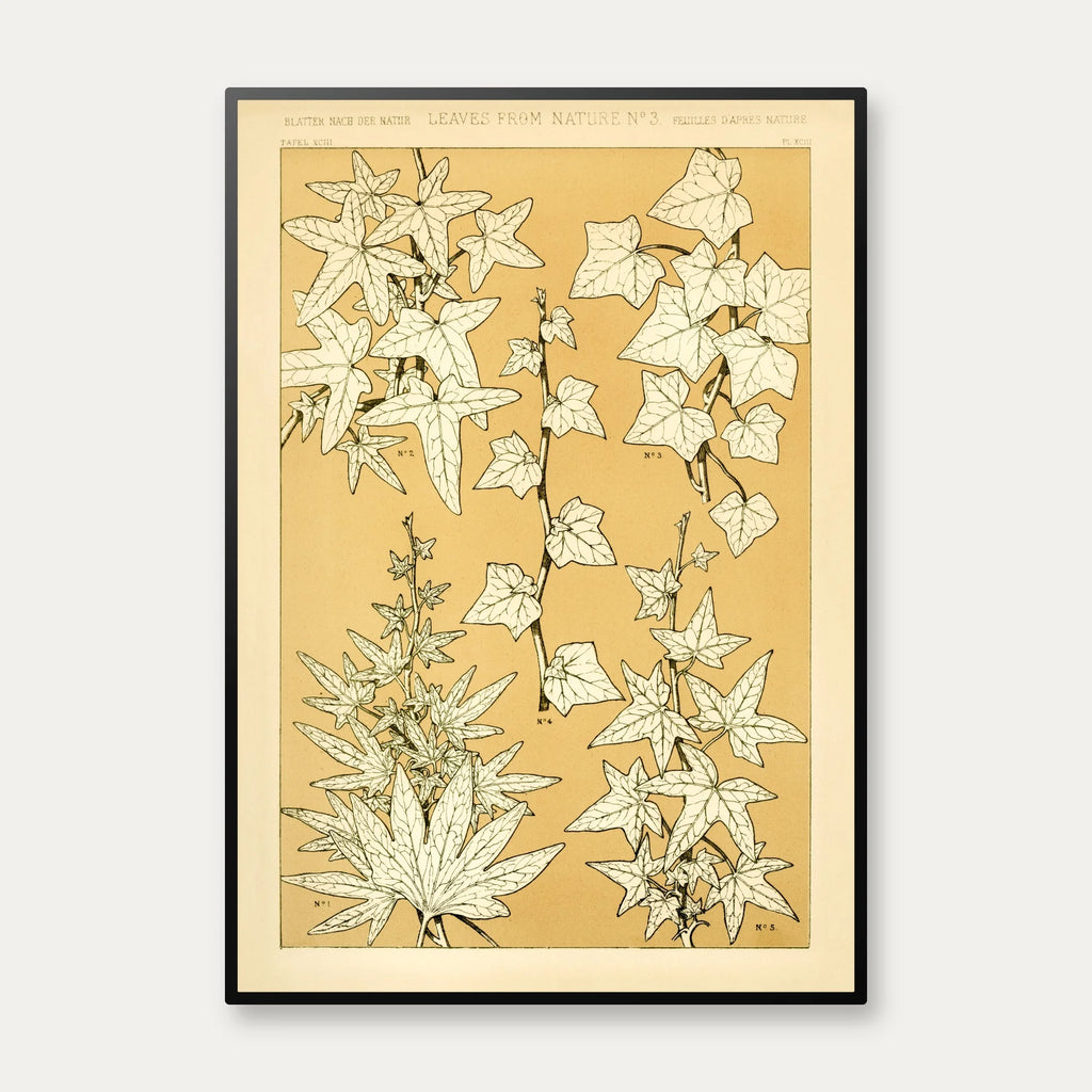 Planter i Gul I 1856 - Plakat – billede 1
