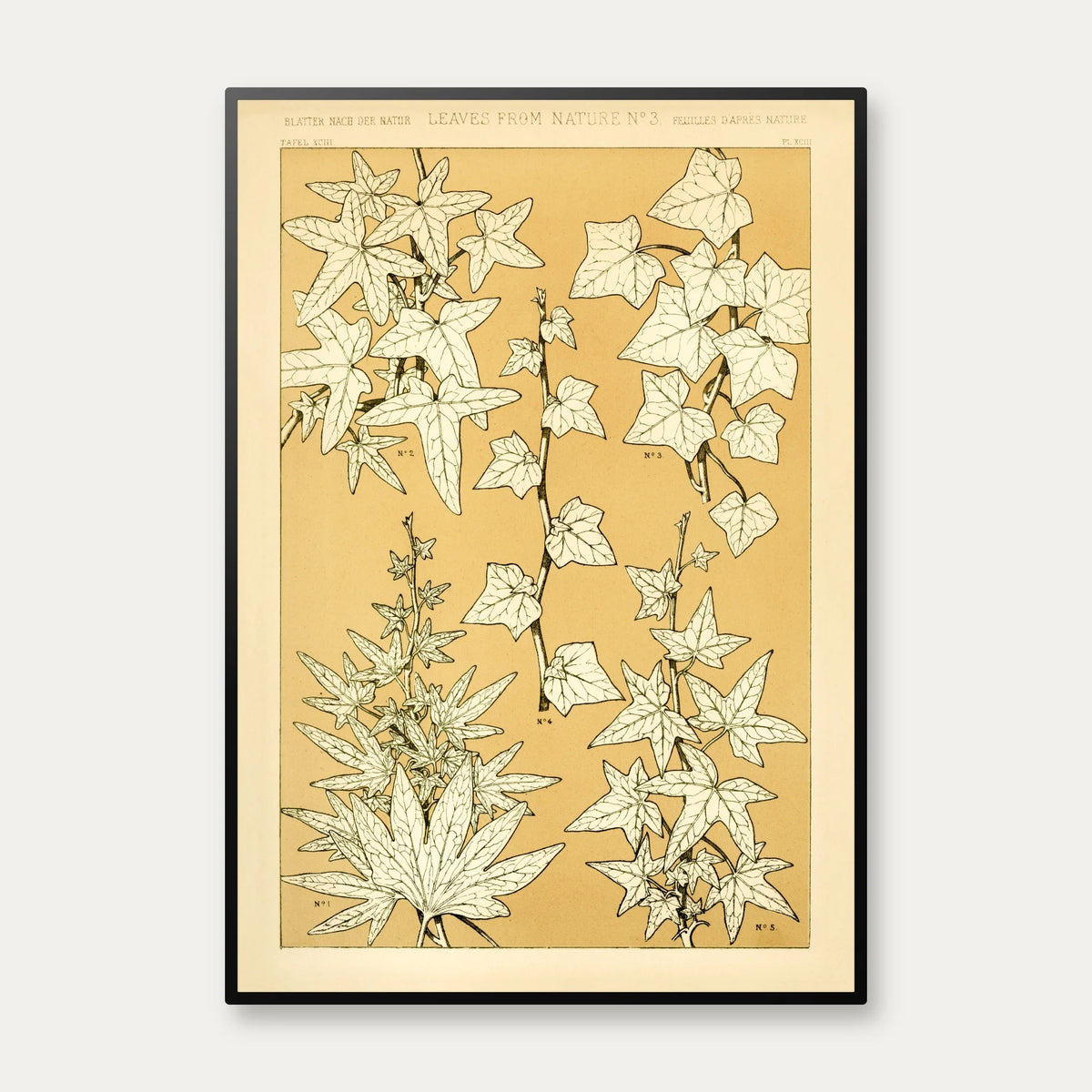 Planter i Gul I 1856 - Plakat – billede 1