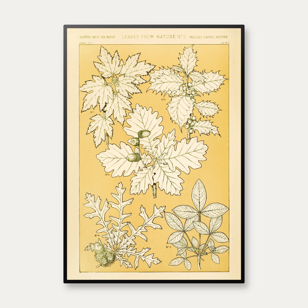 Planter i Gul II 1856 - Plakat – billede 1