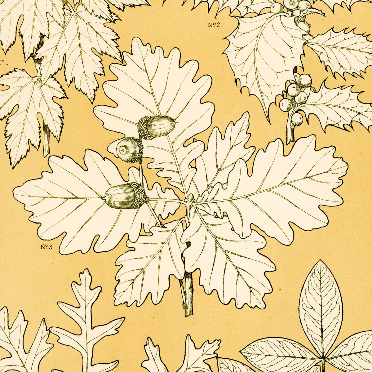 Planter i Gul II 1856 - Plakat – billede 4